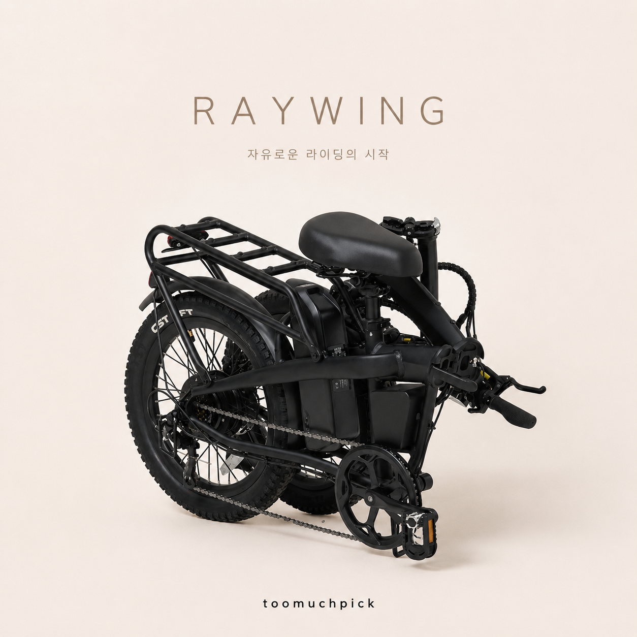 의지하고픈 E-Bike _ RAYWING RUSH